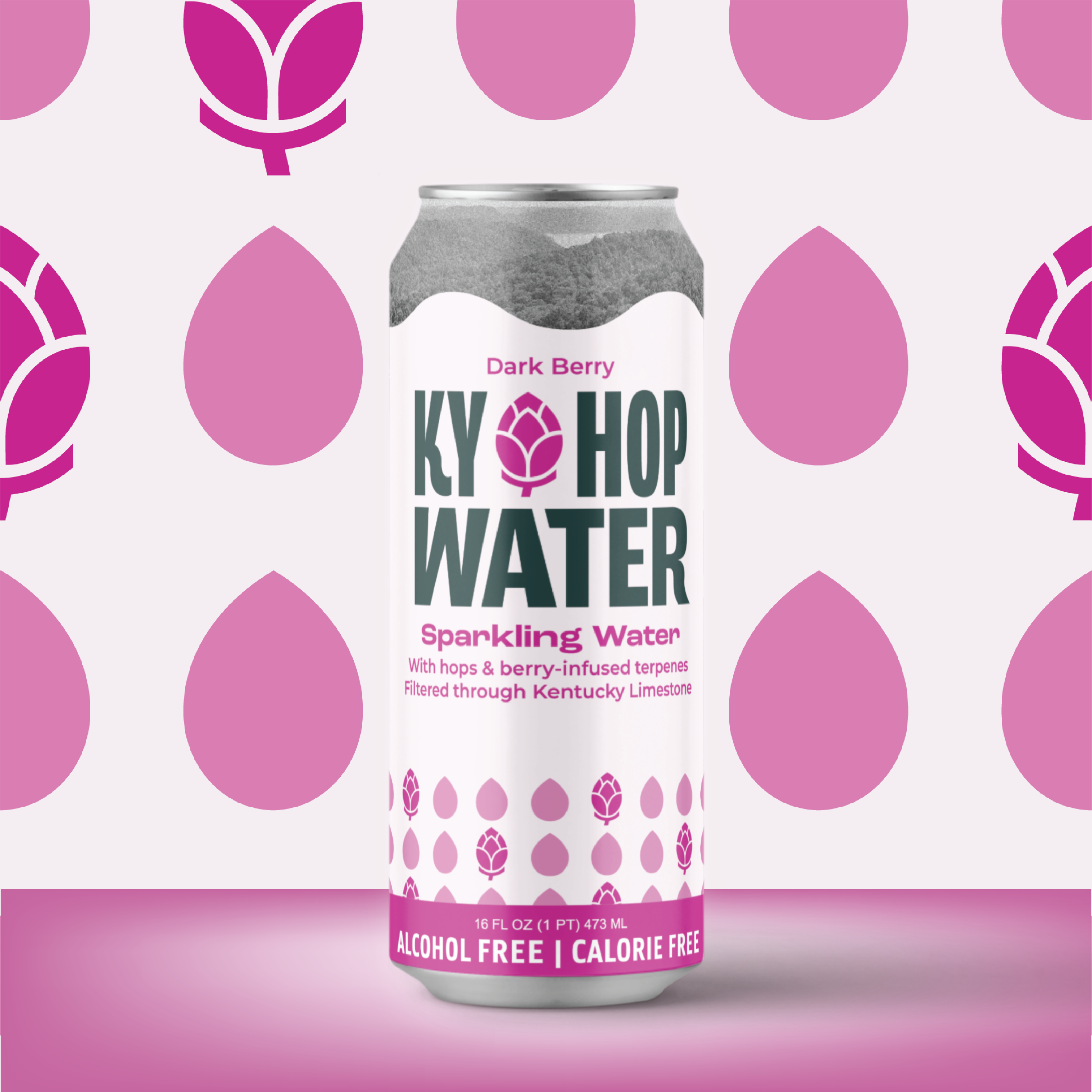 A can of Ky Hop Water Sparkling Water in the Dark Berry flavor, featuring a white label with pink and green graphics, set against a patterned pink and white background.